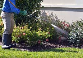 Catseye has been protecting homes and families for. Save On Pest Control In Catskill Catskill Exterminators For Termites Rodents Bees More