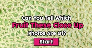 Pixie dust, magic mirrors, and genies are all considered forms of cheating and will disqualify your score on this test! Can You Tell Which Vegetables These Close Up Photos Are Of Quizpug