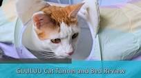 FUN CAT TOYS - GUULUU Cat Tunnel and Bed Review