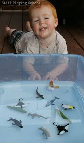 Water Play Sorting Land And Water Animals Still Playing School