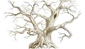 Check spelling or type a new query. Mengetahui Arti Psikotes Menggambar Orang Rumah Dan Pohon Jadiberkah Com