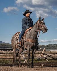 Wrangler Spotlight✨ Meet @shane.chandler.75839! This is Shane's first  summer at Heart Six and he is doing an awesome job. Shane graduated high  school in May and is already close to finishing his