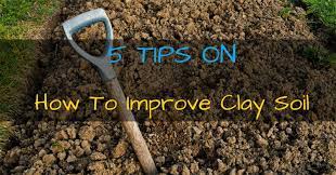 And especially if it is a material you can get your hands on for free. 5 Tips On How To Improve Your Clay Soil