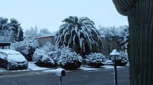 The laggard winter delivered repeated flurries of snow right on the brink of spring all across arizona. Storm Drops Snow On Communities Across Southeastern Arizona