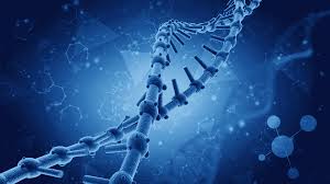 47,548 likes · 111 talking about this. How To Invest In Biotech Stocks And A Biotech Etf