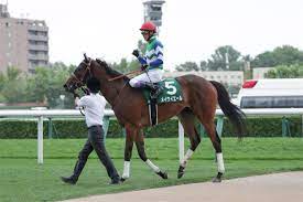 名無しさん＠実況で競馬板アウト 2021/08/29(日) 15:42:55.31 id:022h2xix0 大して成長してないし 1番人気はねーわな 2: 5tnelx2juzp 9m