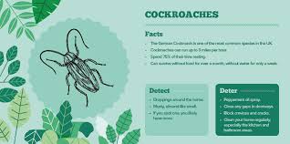 They are usually dark gray to dark brown. The Top 7 Bugs In Your Home