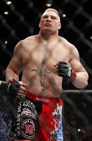 Khabib reveals dream ufc fight would be brock lesnar vs fedor emelianenko. Brock Lesnar Ufc Wallpapers Wallpaper Cave