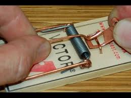 Snapping My Finger In A Mousetrap Youtube