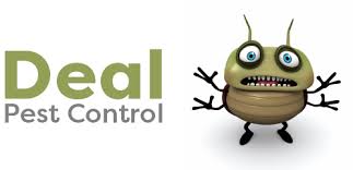 Pest control in az phoenixhave you ever wondered how the mosquito can not only land on you, manage to draw blood, and then fly away without you noticing? Pest Control Services In Surprise Az Deal Pest Control