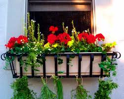 Tips and tricks on how to plant window box planters. Go European Chic With Wrought Iron Window Boxes And Hayrack Trough Planters Hooks Lattice Blog
