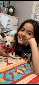 My 6 year old chihuahua won't eat. I took her to the vet he said she looks  good. What to feed her