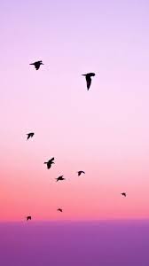 Imagenes Para Celular Mejores Fondos De Pantalla Fondos De Pantalla Lindos Para Iphone Fondo De Pantalla Iphone Verano Bellos Fondos De Pantalla Para Iphone