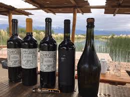 To ekstrawertyk, dla którego liczy się tylko. Foto De Ernesto Catena Vineyards Vista Flores Josefina Y Damian Tripadvisor