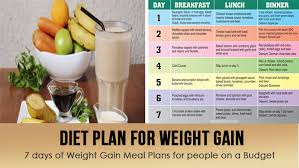 Diet Plan For Weight Gain World Wide Lifestyles Fitness
