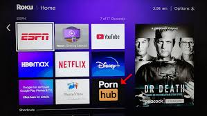 How to Watch Porn on Roku in 2022 [Hidden Adult Channels List]