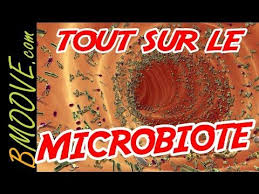 Pourquoi Les Probiotiques Arrivent Mort Dans Votre Intestin Microbiote Intestinal Probiotique Naturel Probiotiques