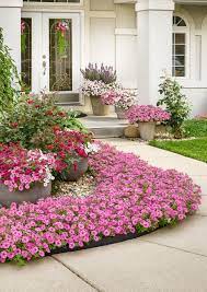Supertunia Vista Bubblegum Petunia Hybrid Proven Winners Petunia Flower Petunia Plant Pink Flowers