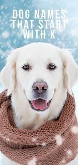 Female names that start with k. Dog Names That Start With K Great Ideas For Your New Pup