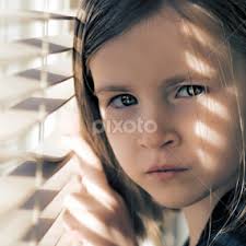 Steve Brookes's Profile