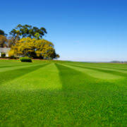 Lawn and garden gypsum is a natural soil conditioner that promotes a deep, healthy root system for your lawn, plants and gardens. Espoma Gypsum Can Remedy Lawn Damage Espoma