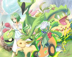 Grass Type Trainer Type Pokemon Pokemon Grass Type Pokemon