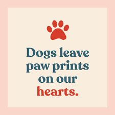 Dog paw print quotes tumblr posted on august 10, 2018 by short quotes animal quotes advertisement some things just fill your heart without trying. 20 Loss Of A Dog Quotes For Sympathy And Comfort Daily Paws