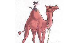 Aesop, if he existed, was an enslaved man in the seventh century greece. The Arrogant Mouse And The Humble Camel Story Short Stories