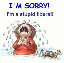 Image result for liberal stupidity