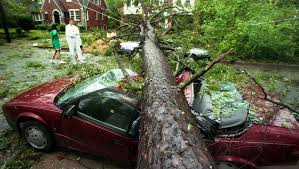 Image result for Opal 1995 Town Car