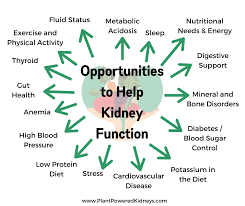 Optimal control of glucose and all other cardiovascular risk factors. Chronic Kidney Disease Stage 3 The Ultimate Guide