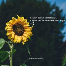 Kali ini akan ditampilkan koleksi gambar, foto, wallpaper. Kata Kata Bijak Cinta Indonesian Quotes People Quotes Wallpaper Quotes