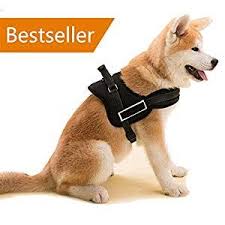 Find The Best Dog Technology Dogtech Uk Tech For Dogs Dog Food Brands Dog Vest Harness Raw Dog Food Recipes