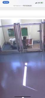 Hours may change under current circumstances All American Pet Resorts Rochester Hills 16 Photos 16 Reviews Pet Boarding 2736 Product Dr Rochester Hills Mi United States Phone Number Yelp