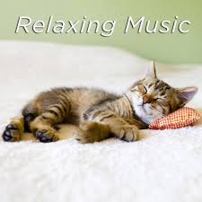 Relaxing Music by Relaxing Music - Pandora