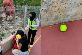 Check spelling or type a new query. Safety Measures Proposed For Newly Opened Jurassic Mile After Maid Hit On Head By Stray Golf Ball Today