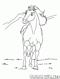 Coloring Page Stallion Spirit You will learn how to draw anime cartoon coloring book correctly and will have so much fun time on this game!.