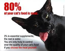 What you have to remember, however, is that these products are cooked to make them safe for your cat to ingest. Meat For Cats An Introduction Tcfeline Raw Cat Food