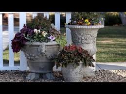 Provides optimum aeration & drainage. Tough Plants For Early Spring Containers Garden Answer Golectures Online Lectures