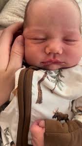 And just like that, we get to fall in love all over again., Noah Jack  Martens 🌲🐻