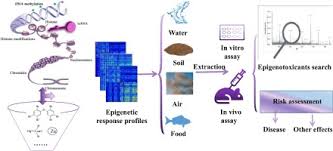 Look through examples of air muka translation in sentences, listen to pronunciation and learn grammar. Epigenetic Response Profiles Into Environmental Epigenotoxicant Screening And Health Risk Assessment A Critical Review Sciencedirect