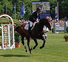 Check spelling or type a new query. Rolf Goran Bengtsson Wikipedia
