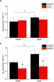 Image result for Utricularia reflexa