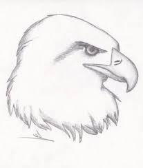 But keep at it and you'll surely nail it down. 56 Eagle Drawing Ideas Eagle Drawing Drawings Eagle