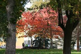 With an approximate population of 100,000 inhabitants in eskilstuna municipality, out of which 70,000 live in the city proper, it is the biggest city in södermanland county. Trfihi Parks Parks Eskilsparken Eskilstuna