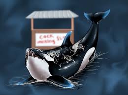 Kayla Orca hentai videos, GIFs, and images | R34.app