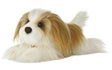 Pin On Shih Tzu