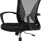 Amazon.com: PayLessHere Office Computer Gaming Chair ...