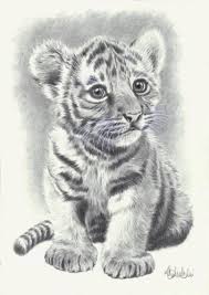 Image From Https S Media Cache Ak0 Pinimg Com 736x 8e 98 62 8e98625b14202462f1b7c6e662c042f6 Jpg Pencil Drawings Of Animals Animal Drawings Animal Art