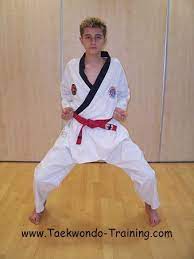 taekwondo sitting stance taekwondo taekwondo training stance